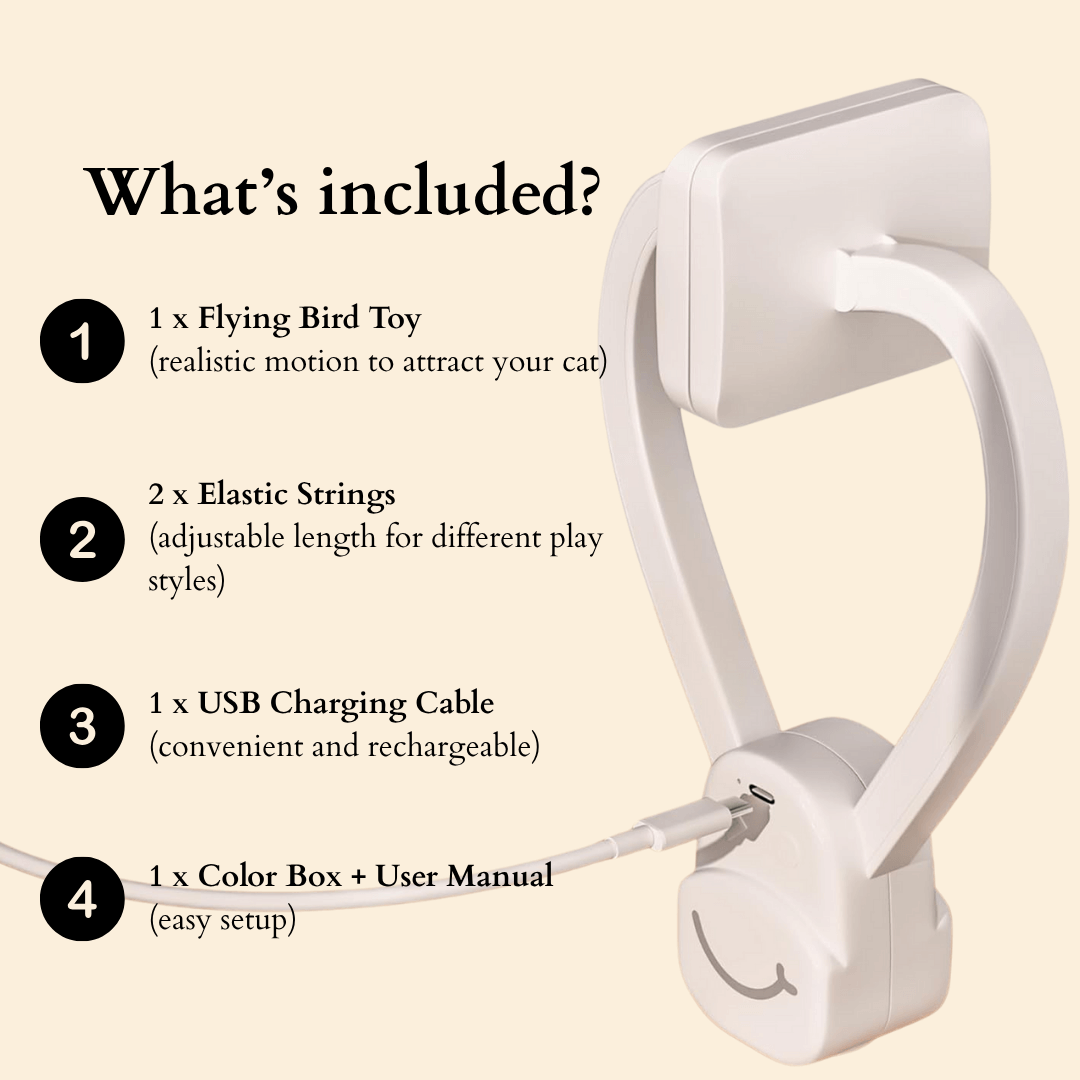 🐾 Flying Feather Fun