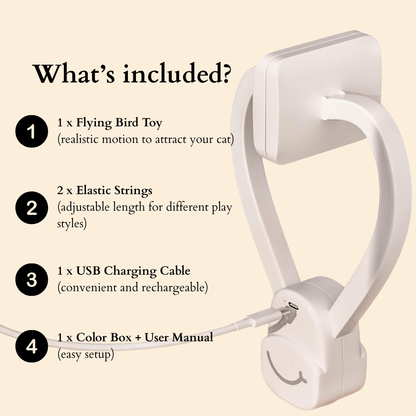 🐾 Flying Feather Fun