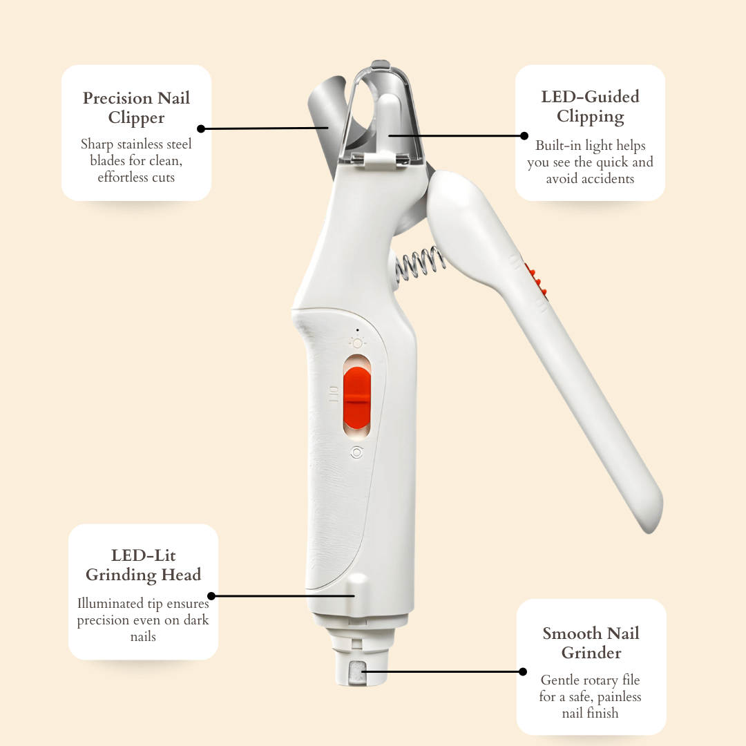Aoioploa® | ✨ Snip-Snap, Happy Paws!