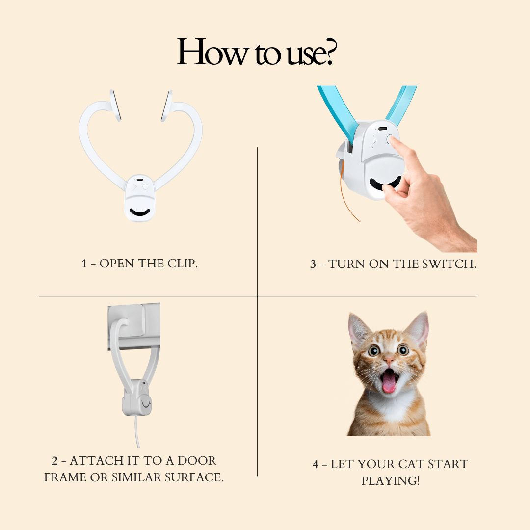 🐾 Flying Feather Fun