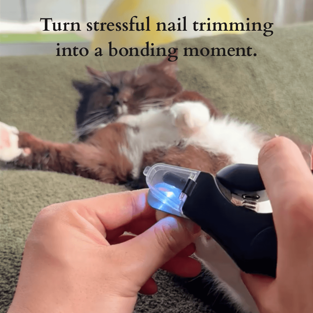 Aoioploa® | ✨ Snip-Snap, Happy Paws!