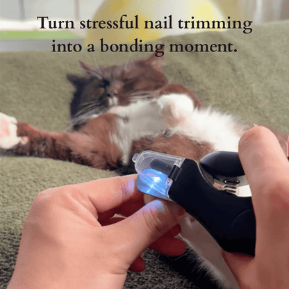 Aoioploa® | ✨ Snip-Snap, Happy Paws!