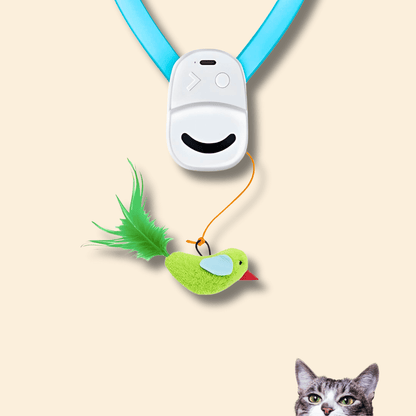 🐾 Flying Feather Fun