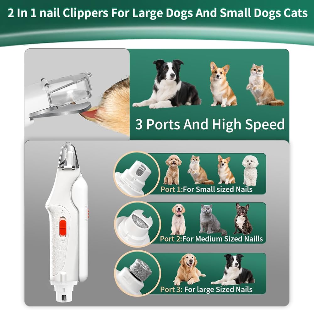 Aoioploa Interactive Cat Toys for Indoor Cats: Automatic Flying Bird Feather Wand Chase Exercise Enrichment Stimulation, USB Rechargeable Durable Safe Hanging Toy for Bored Kittens Adult Multi Cat Households