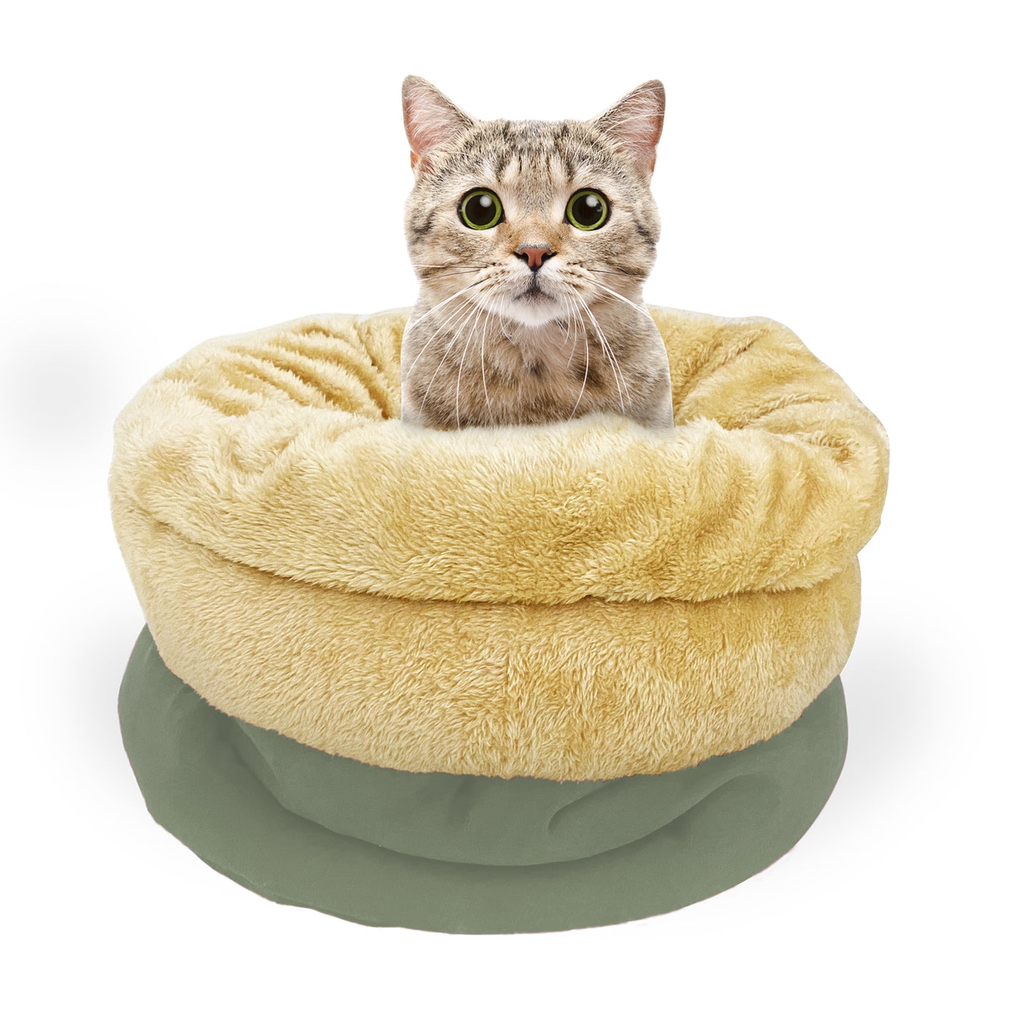 The Ultimate 2-in-1 Self-Warming Cat Burrow & Play Mat