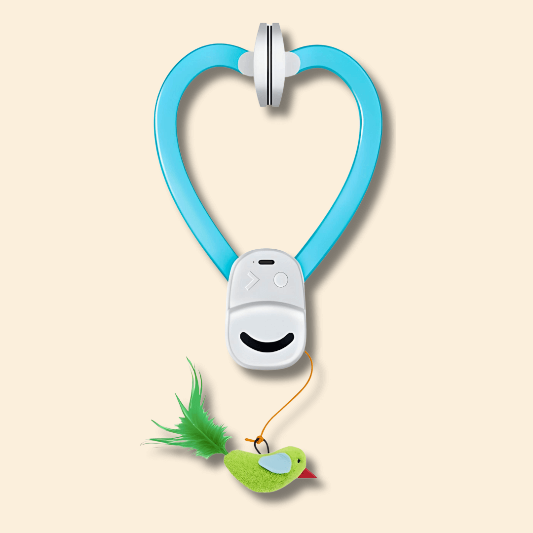 🐾 Flying Feather Fun