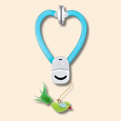 🐾 Flying Feather Fun