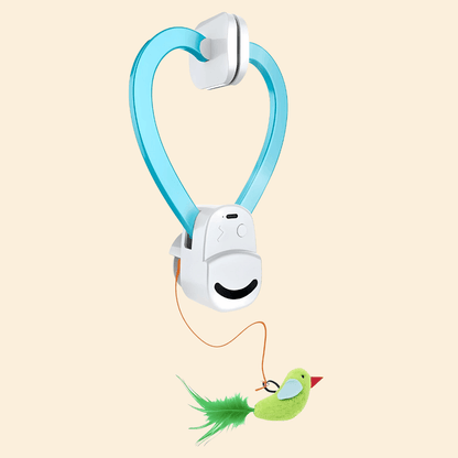 🐾 Flying Feather Fun