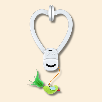 🐾 Flying Feather Fun