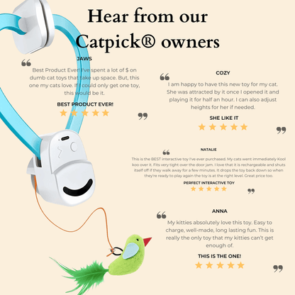 The Original Catpick® Silent Hunter: Realistic Flying Bird Teaser