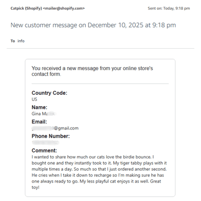 The Original Catpick® Silent Hunter: Realistic Flying Bird Teaser