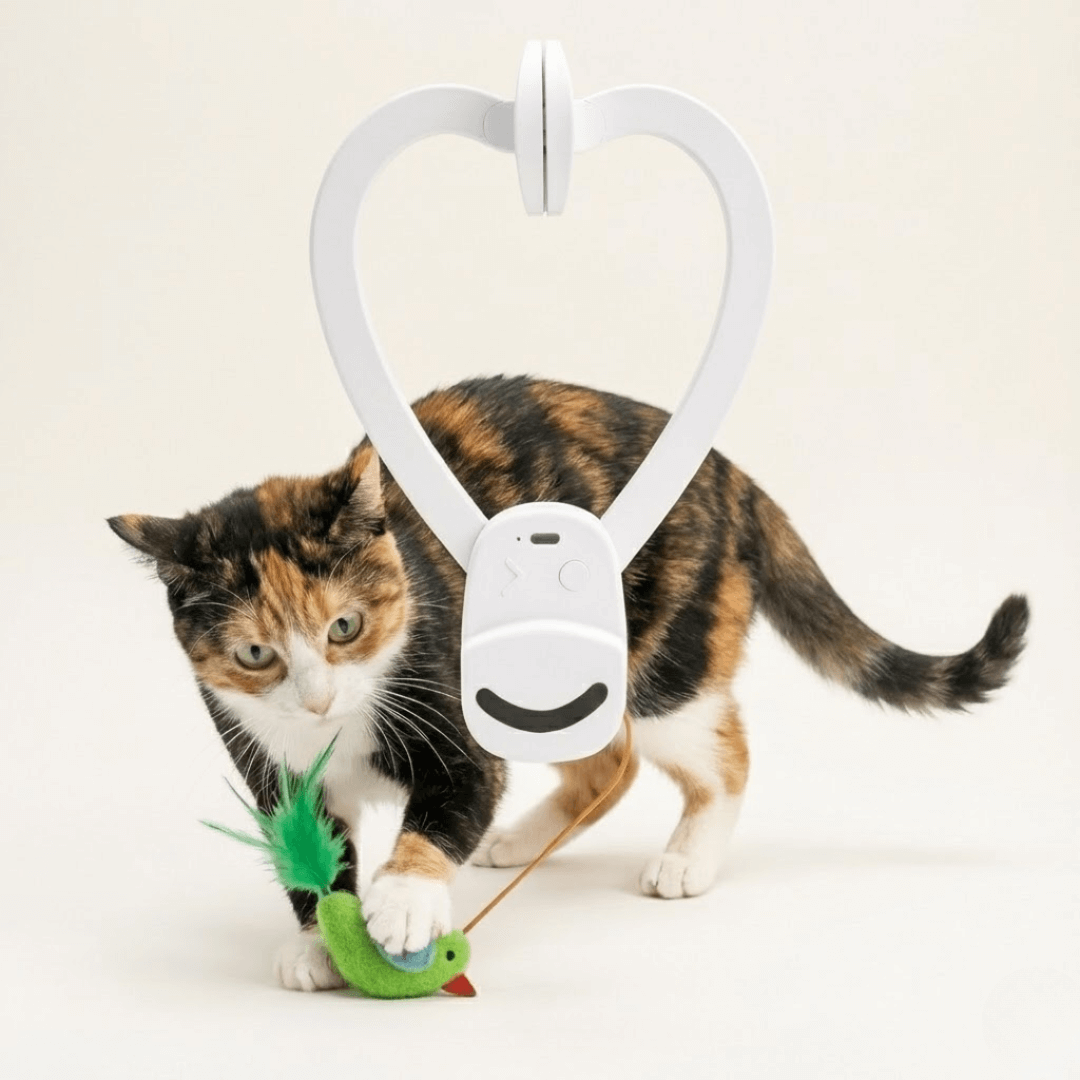 The Original Catpick® Silent Hunter: Realistic Flying Bird Teaser