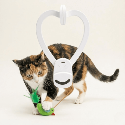 The Original Catpick® Silent Hunter: Realistic Flying Bird Teaser