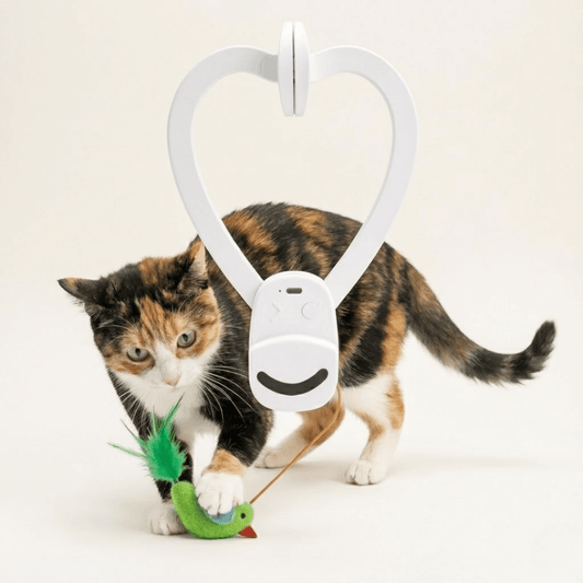 The Original Catpick® Silent Hunter: Realistic Flying Bird Teaser