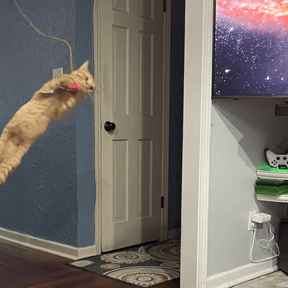 The Original Catpick® Silent Hunter: Realistic Flying Bird Teaser
