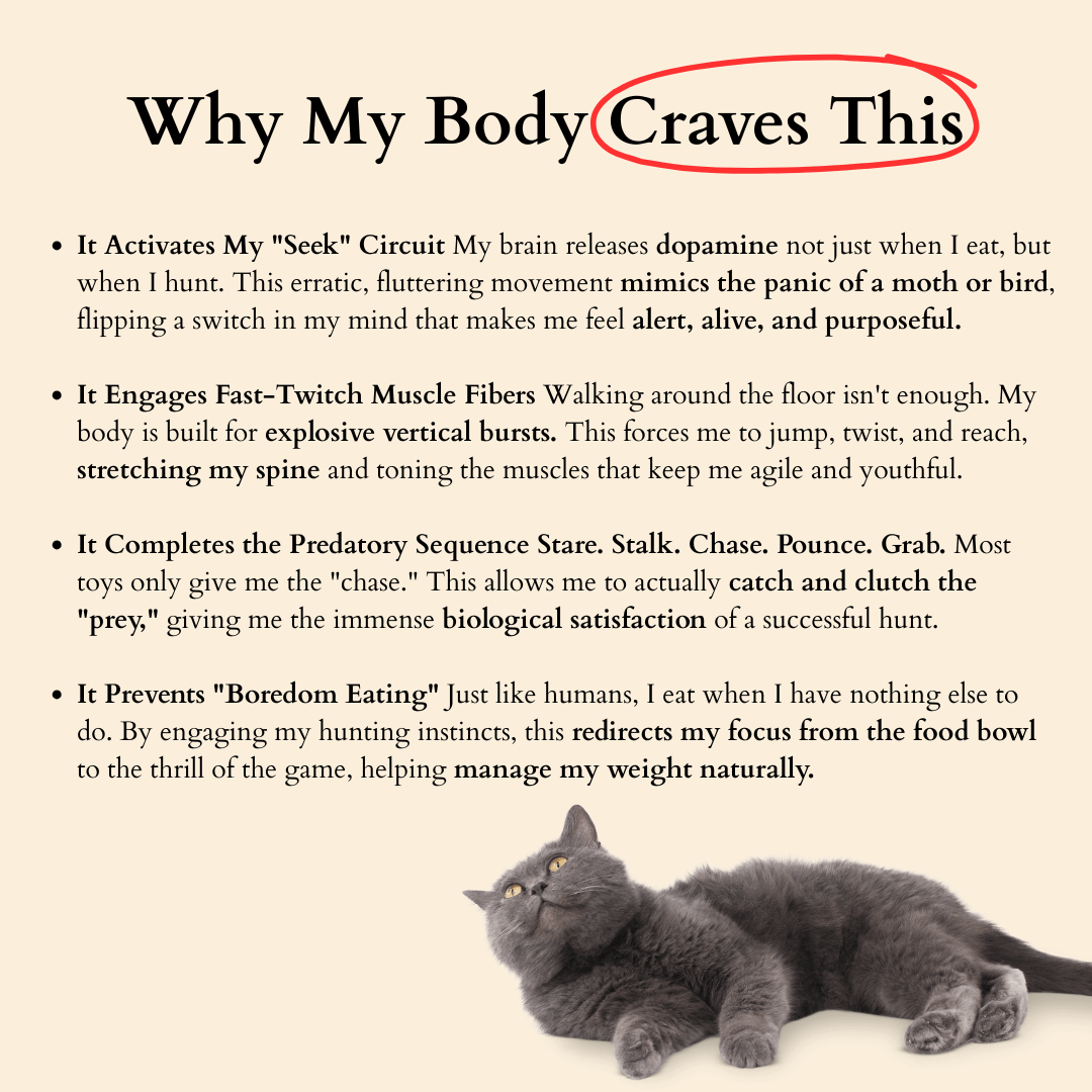 The Original Catpick® Silent Hunter: Realistic Flying Bird Teaser