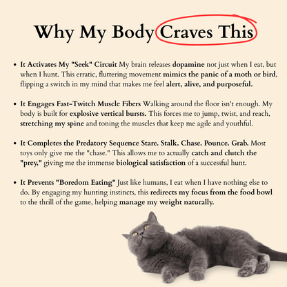 The Original Catpick® Silent Hunter: Realistic Flying Bird Teaser